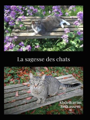 cover image of La sagesse des chats